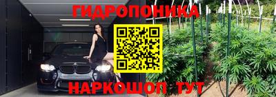 сатива Сланцы