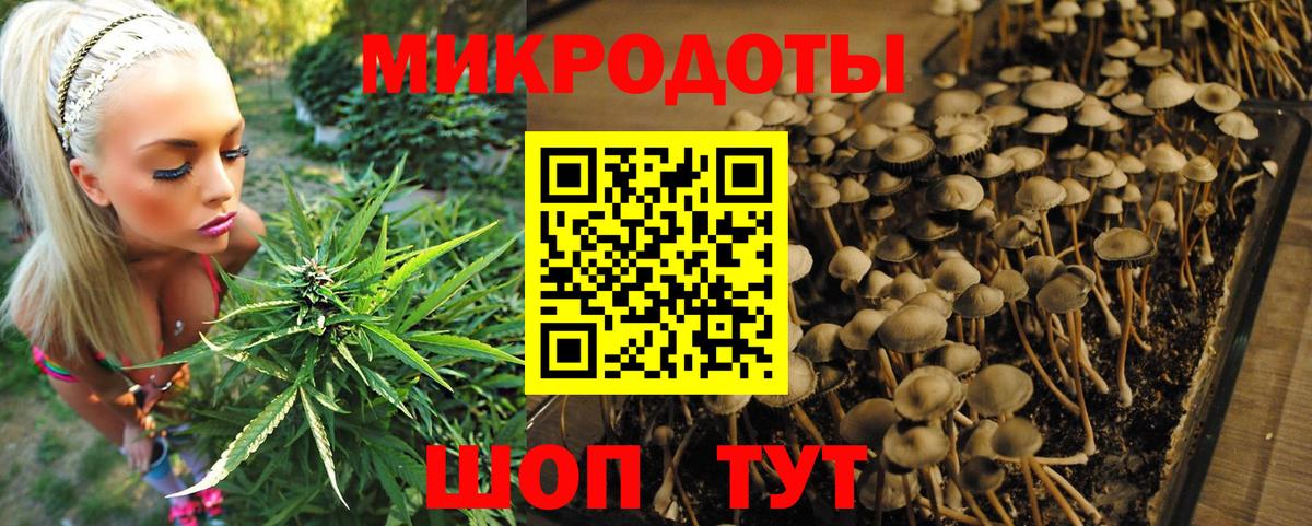 Псилоцибиновые грибы Psilocybe  Вход с VPN  Нововоронеж 